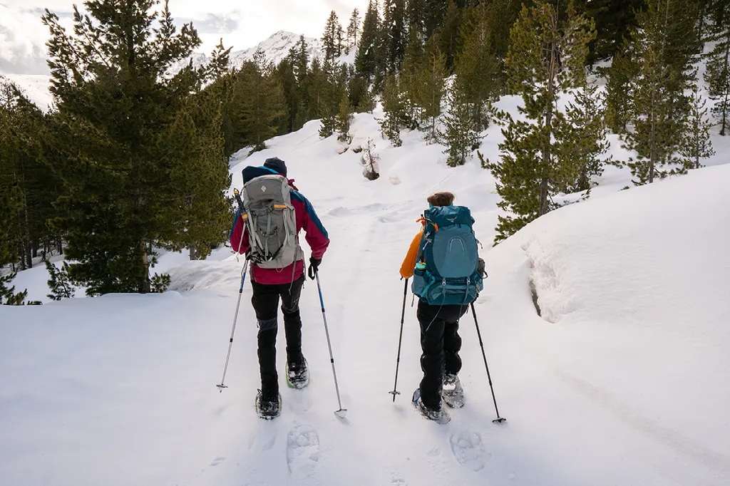 Twee wandelaars met grote rugzakken en stokken lopen door de sneeuw op een pad tussen dennenbomen.
