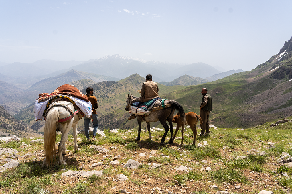 Koerdische mannen met paarden en ezels kijken uit over een uitgestrekt berglandschap in het Zagrosgebergte