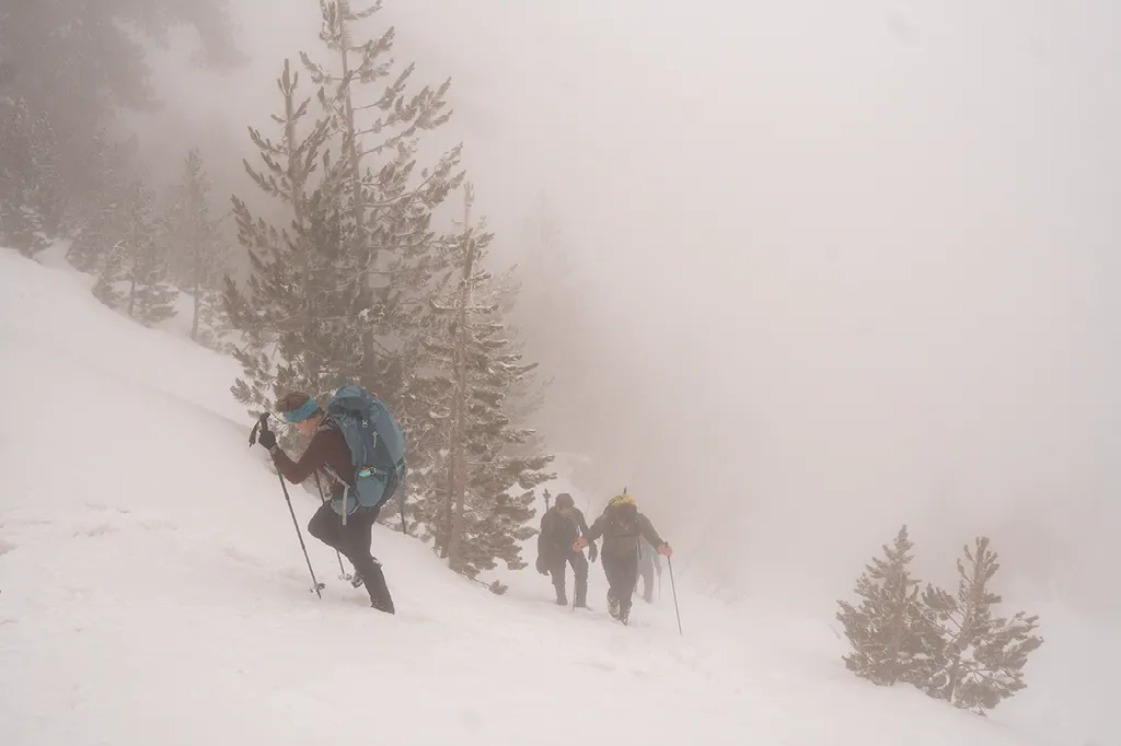 Drie wandelaars met stokken klimmen een steile, besneeuwde helling op in een mistige omgeving met verspreide bomen.