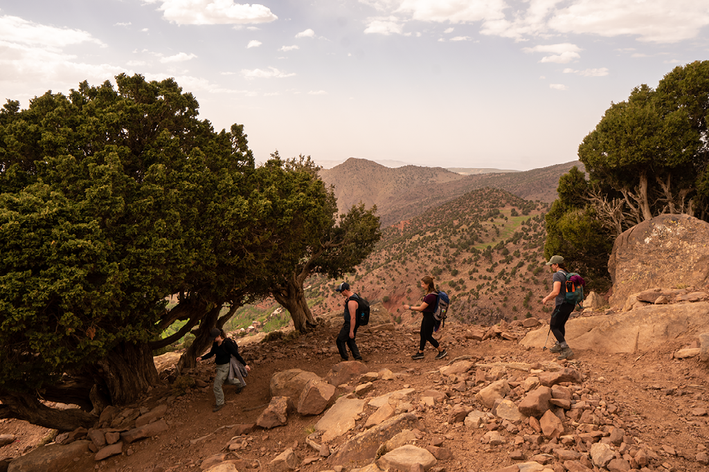 Een groep wandelaars loopt over een rotsachtig pad tussen lage, groene bomen met uitzicht op een uitgestrekt, heuvelachtig landschap.