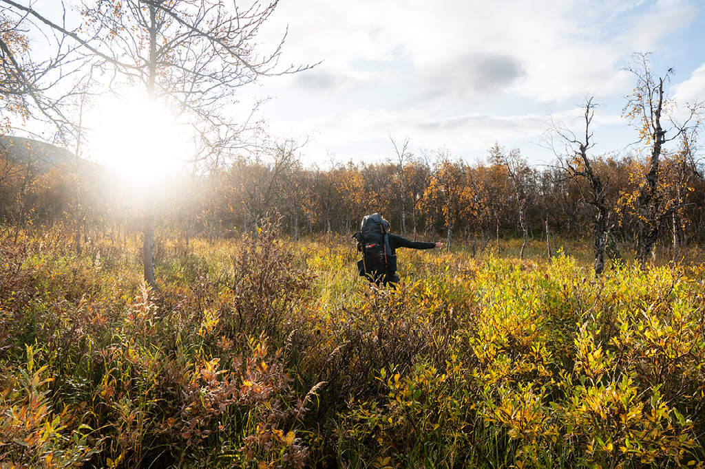 Een wandelaar met rugzak loopt door een open veld met geel en groen gras en struiken onder een heldere zon.