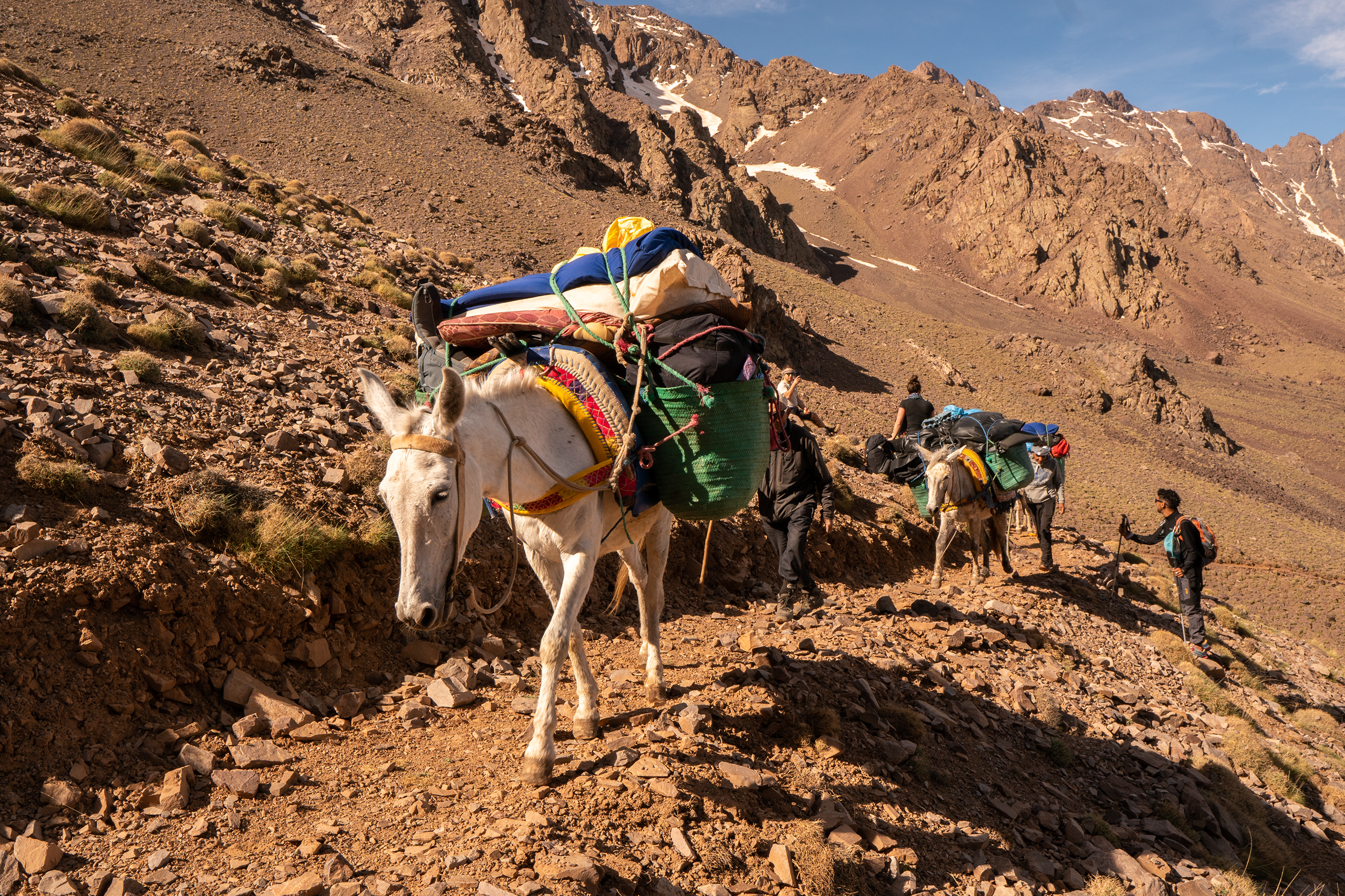 Twee zwaar bepakte muilezels, met voornamelijk groene en blauwe bagage, lopen over een stenig bergpad, begeleid door mensen op de achtergrond.