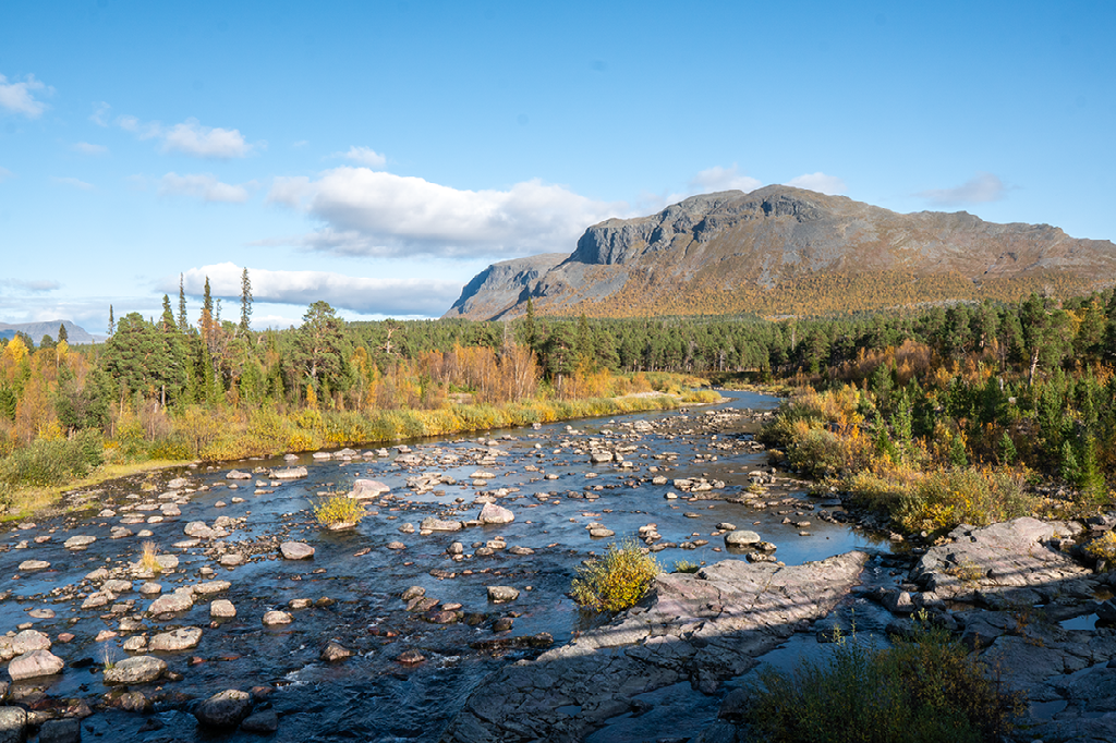Een heldere rivier stroomt door een bos in herfstkleuren aan de voet van een grote, kale berg onder een blauwe lucht met witte wolken.