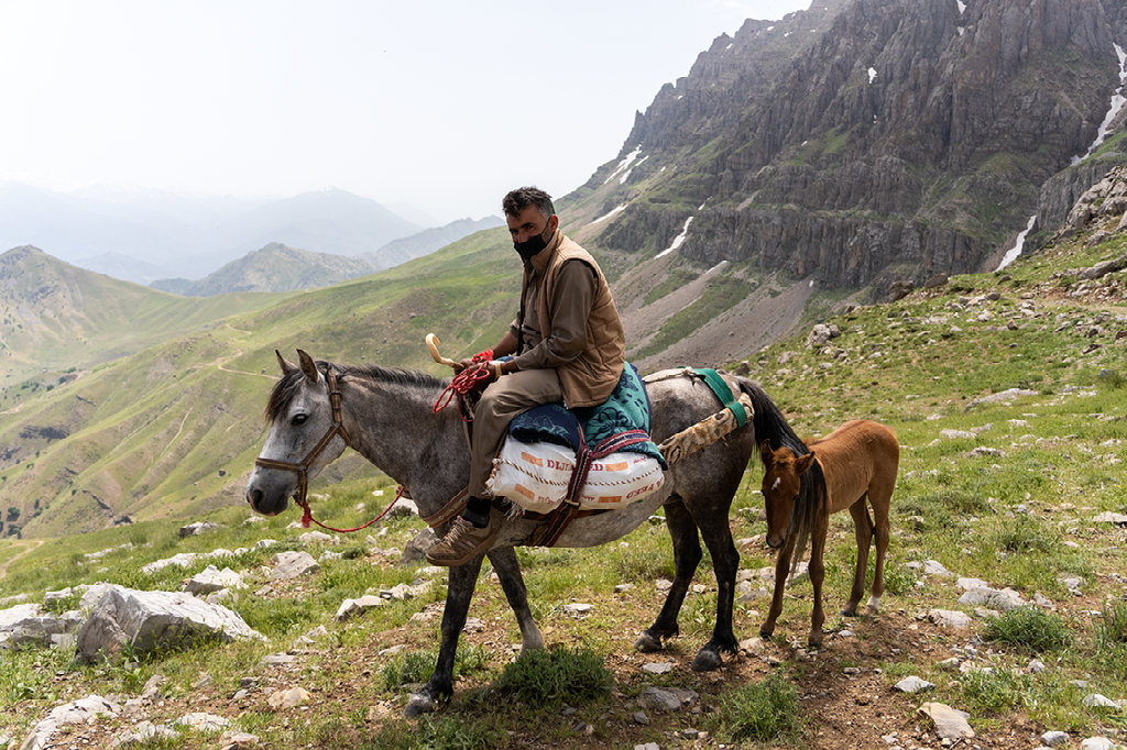 man te paard met veulen op bergpad, omringd door steile rotswanden en groene hellingen met uitzicht op de vallei