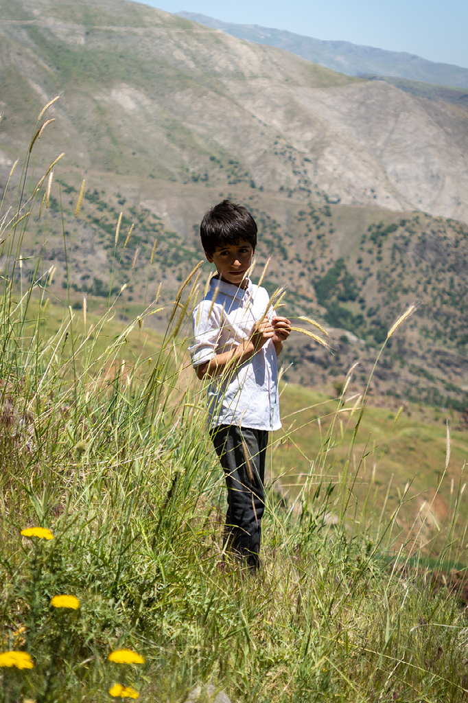 jongetje tussen hoog gras en wilde bloemen op een berghelling met uitzicht op groene heuvels in de verte