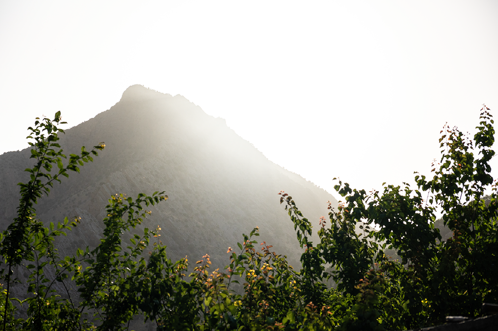 zon verlicht bergtop met silhouetten van bladeren op de voorgrond in de vroege ochtend of late namiddag