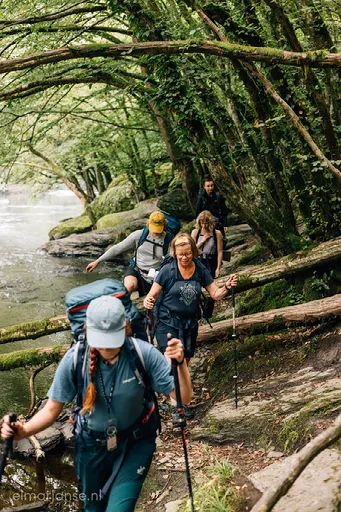 Groep boswandeling langs rivier
