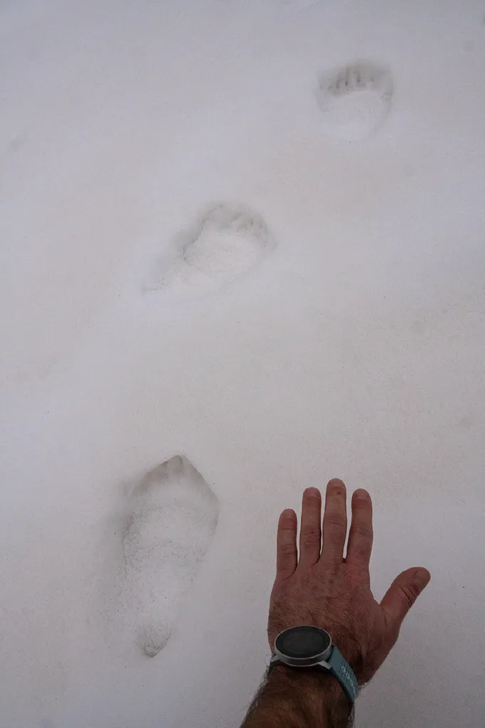 Een hand met een horloge ligt naast een voetafdruk in de sneeuw.