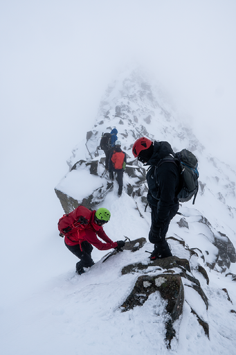 Groep op besneeuwde bergkam