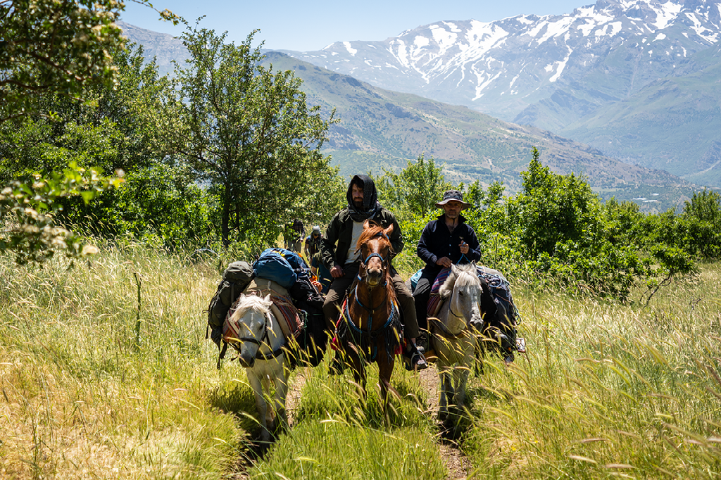 twee ruiters te paard volgen een smal pad door het hoge gras met besneeuwde bergen op de achtergrond
