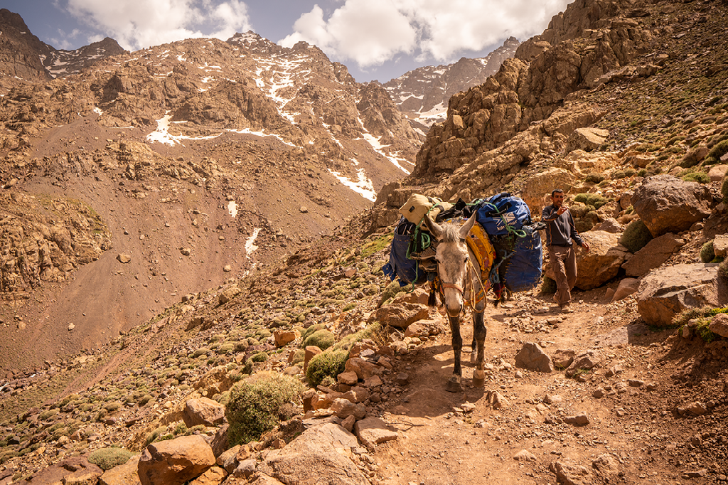 Twee zwaar bepakte muilezels, met blauwe bagage, lopen over een stenig bergpad, begeleid door een man in een ruig berglandschap.
