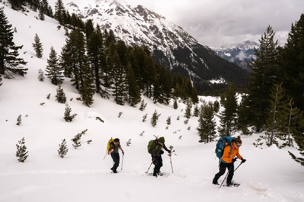Drie wandelaars met sneeuwschoenen, stokken en rugzakken lopen door de sneeuw tussen dennenbomen met besneeuwde bergen op de achtergrond.