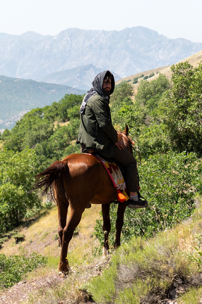 een berijder in groene jas kijkt om terwijl hij op een bruin paard door een bergachtig landschap rijdt