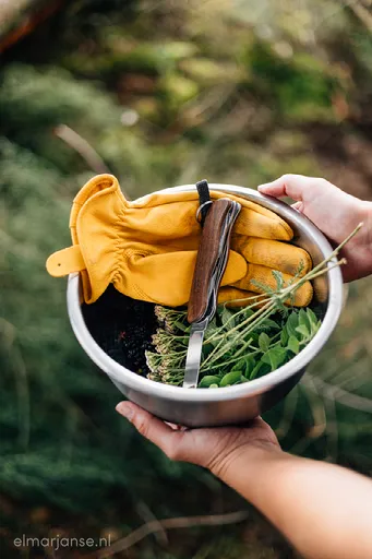 schaal met gereedschap en kruiden