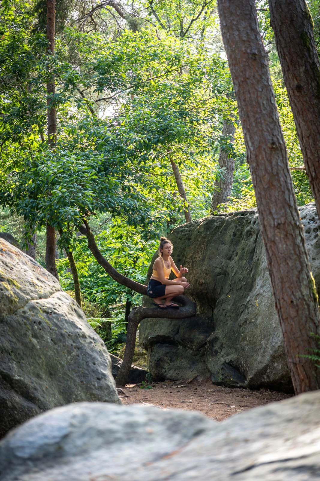 Klimster die in een nis van een rots zit