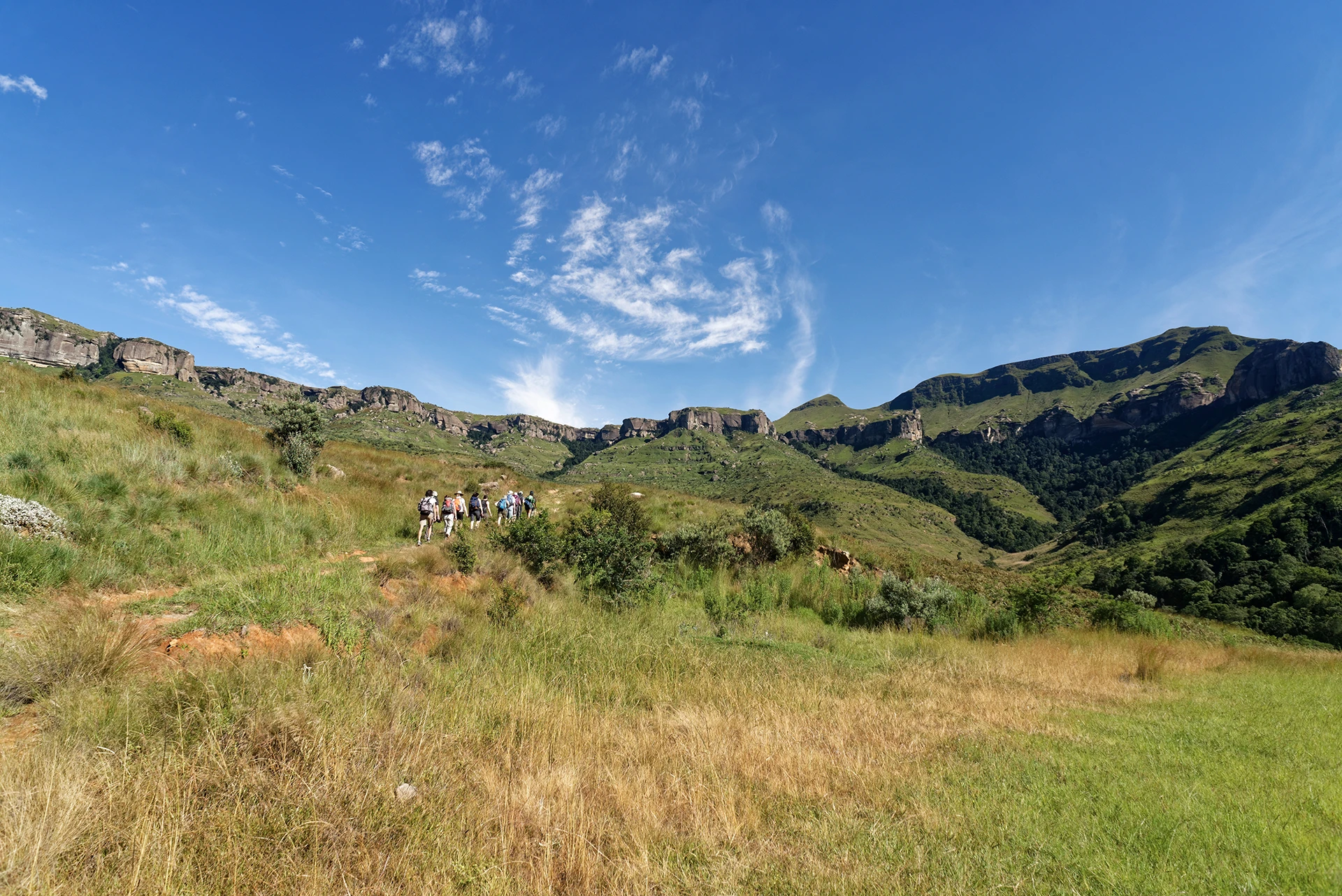 Steile kliffen met groene hellingen