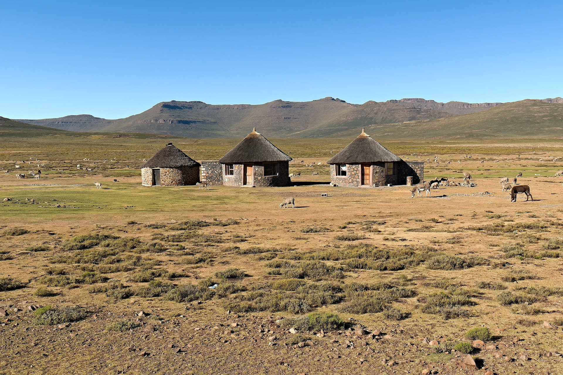 Ronde hutten van steen en riet