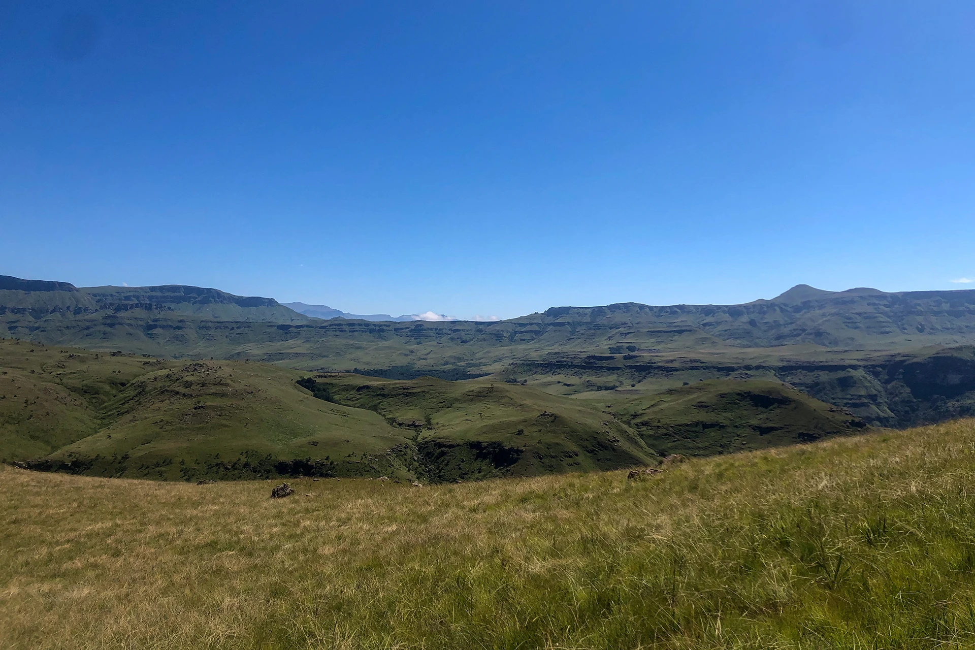 Groene heuvels met zicht op bergen