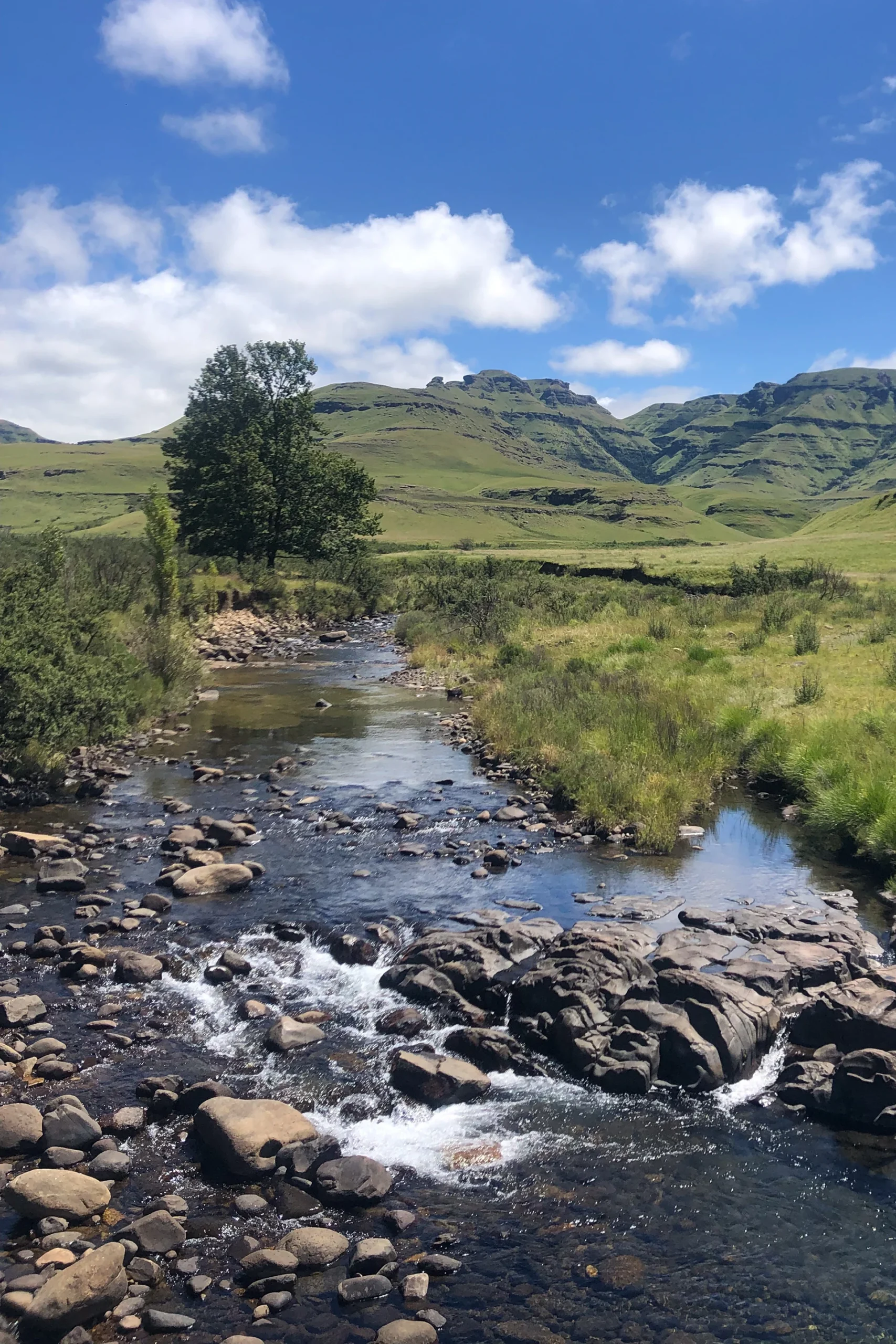 Rotsig riviertje tussen groene heuvels