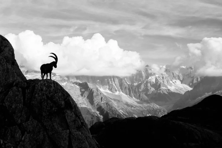 Dwars door de Vercors