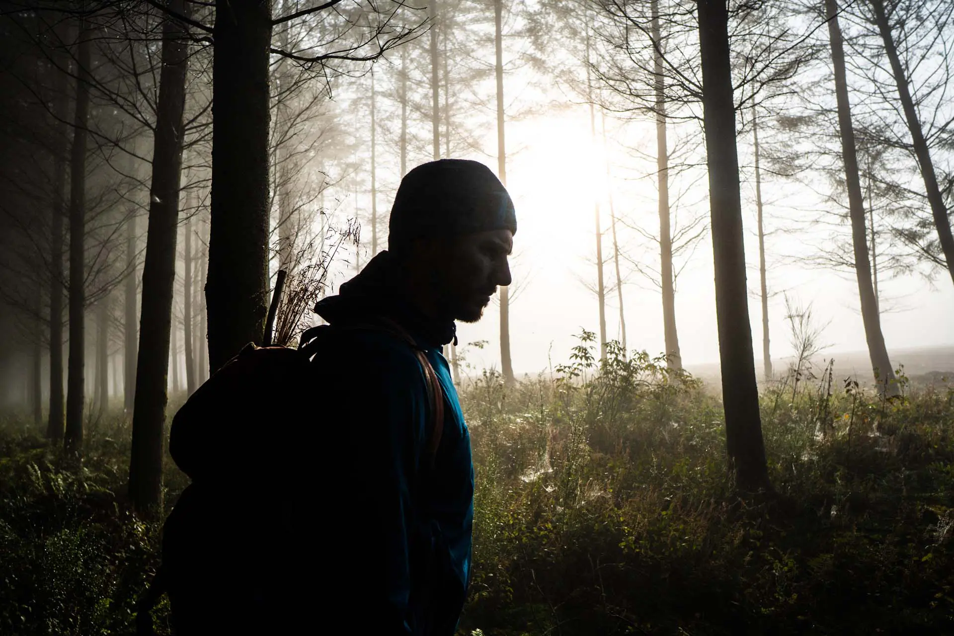 Persoon die door een bos loopt met zonlicht tussen de bomen