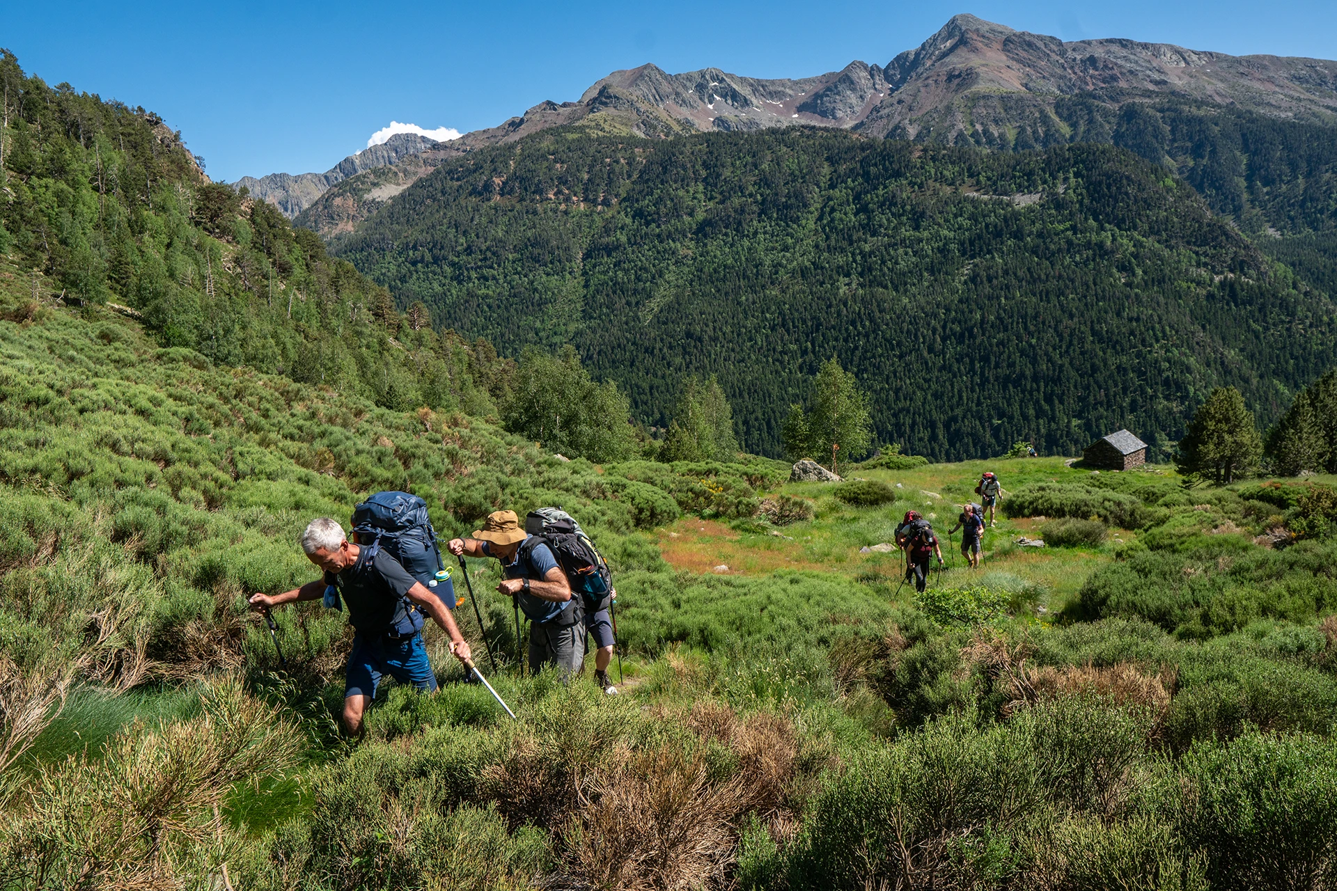 Wandelaars lopen door een groen berggebied