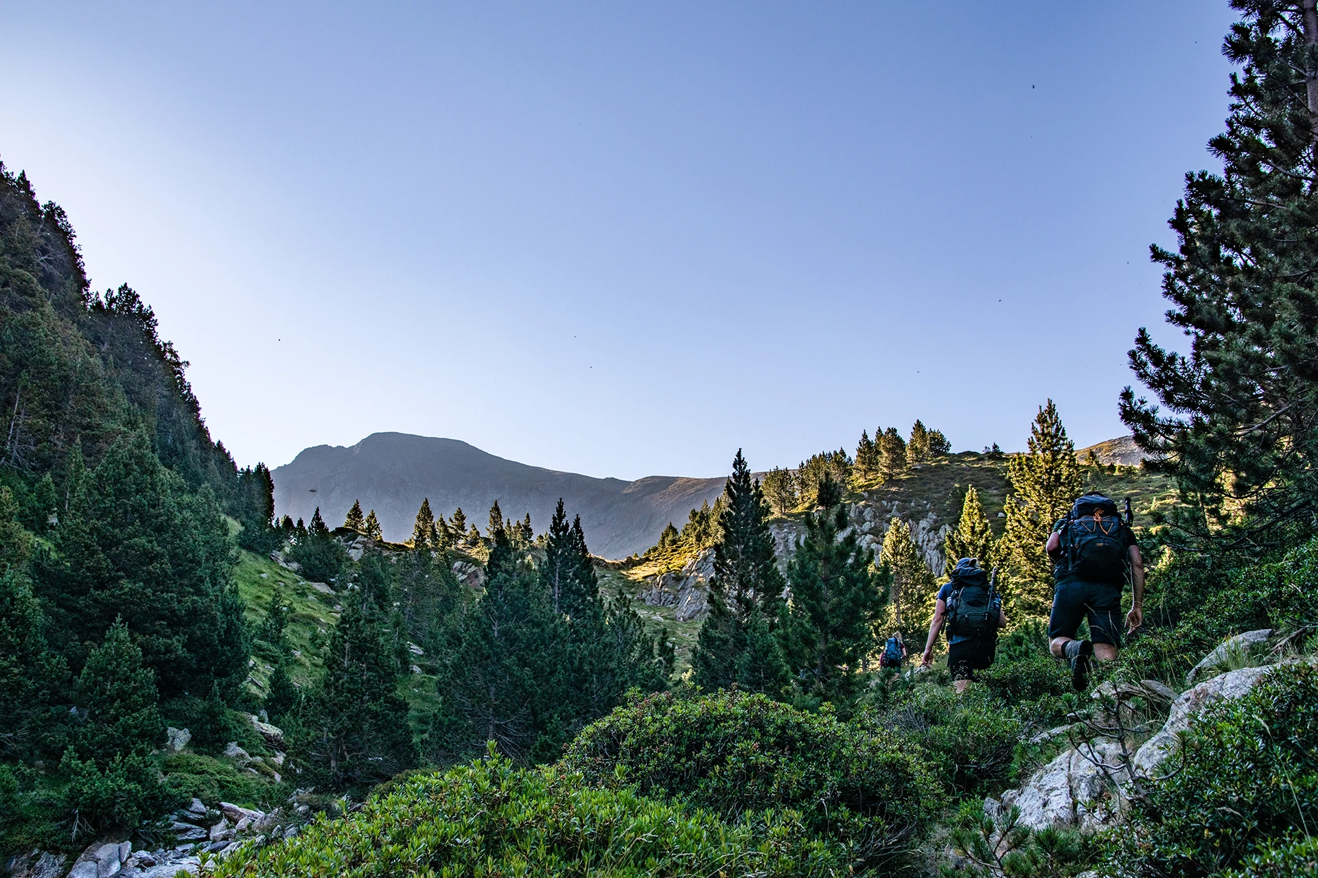 Vogel zweeft boven grijze bergpieken