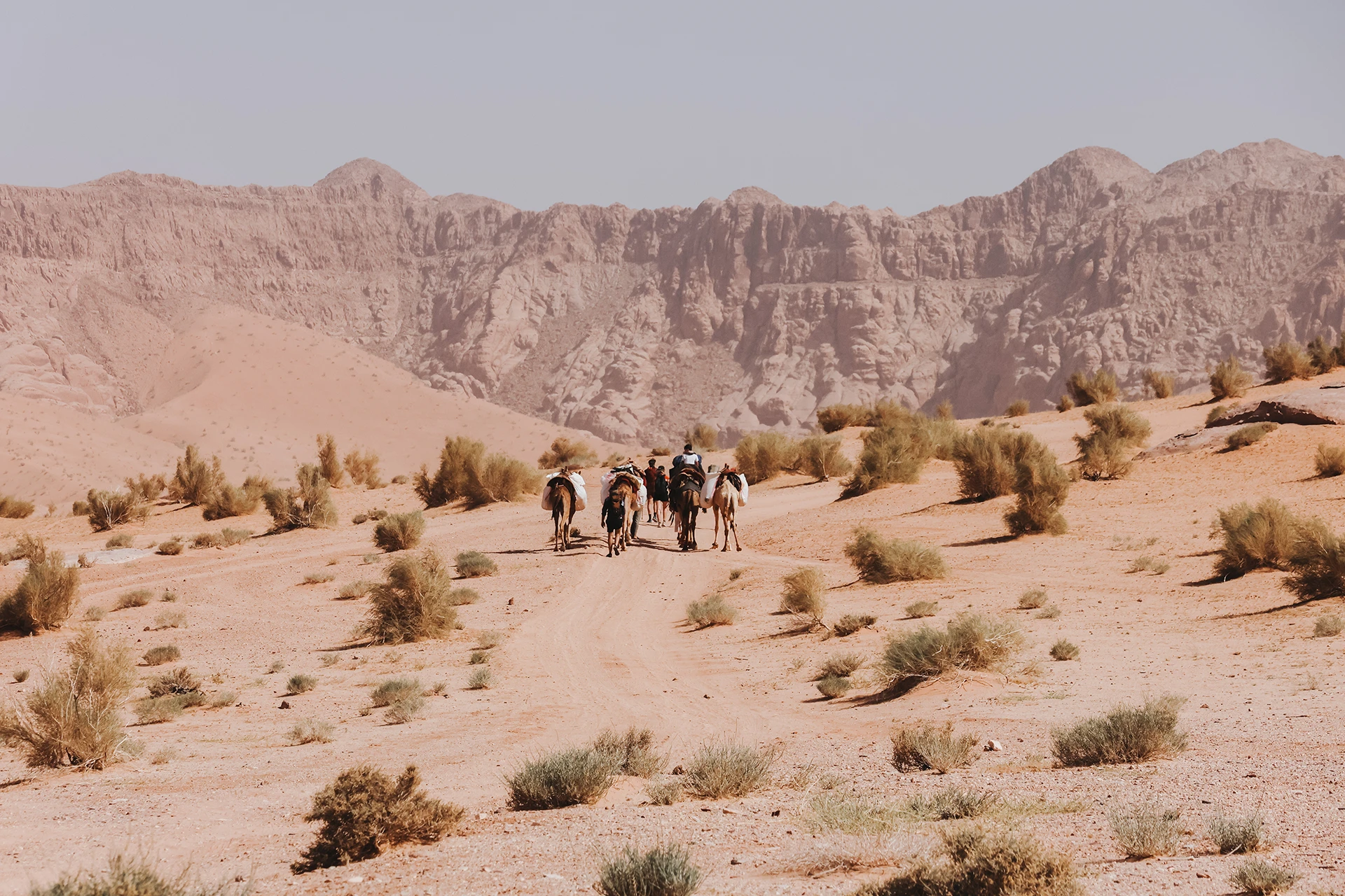 Groep wandelaars trekt door brede droge vallei