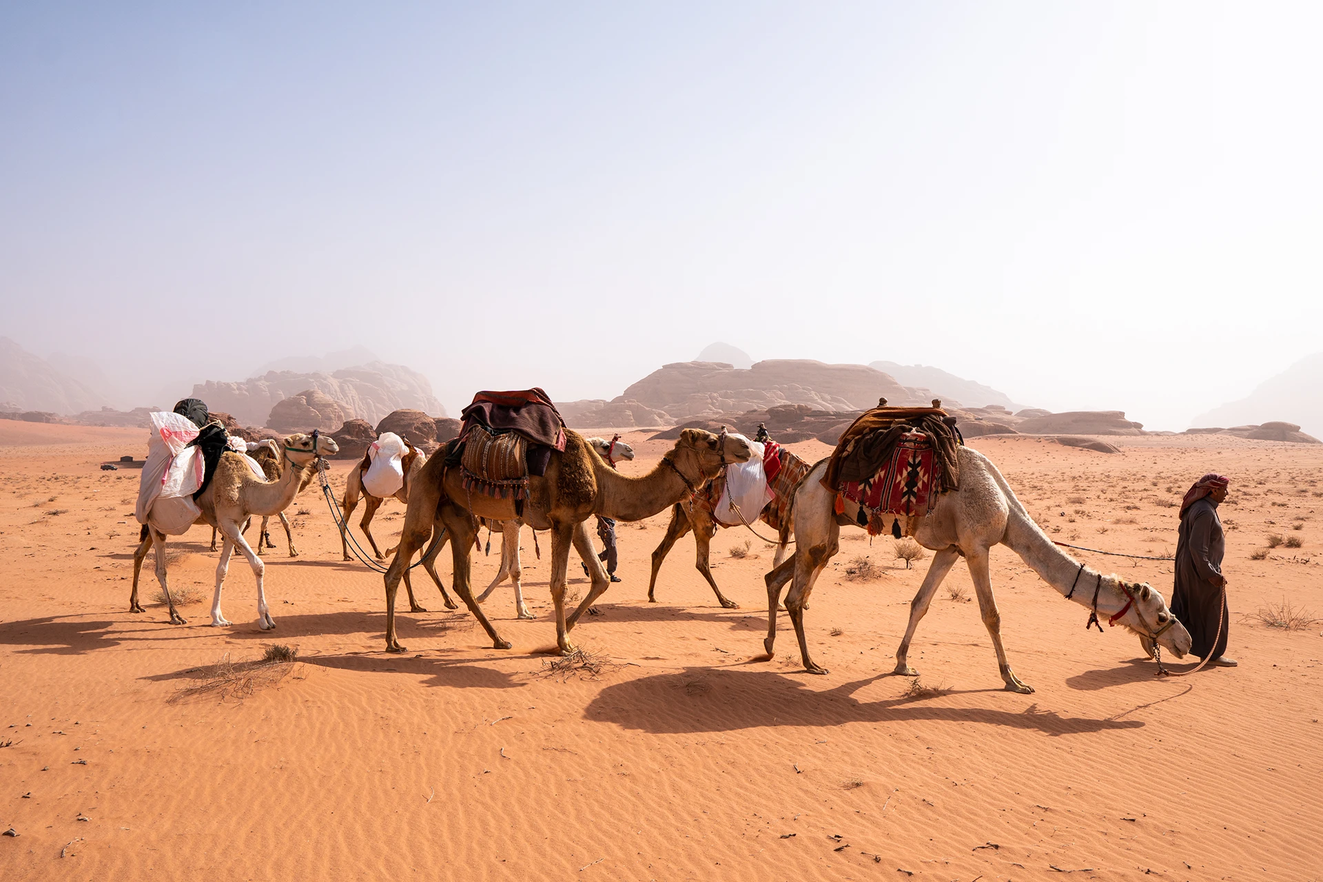 Kamelenkaravaan trekt door open zandvlaktes