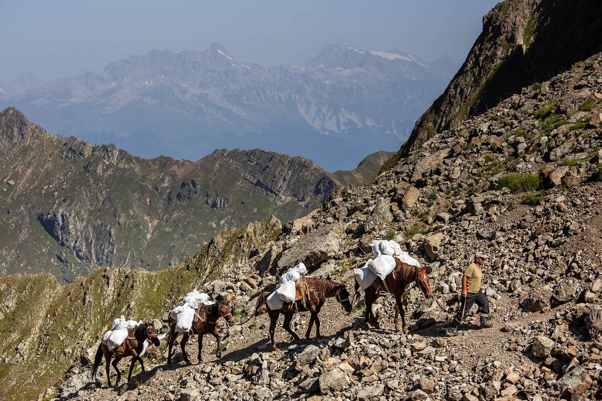 Kudde geiten loopt over rotsige berghelling