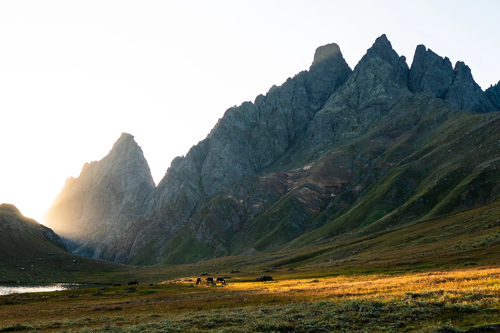 Scherpe bergpieken in warm avondlicht