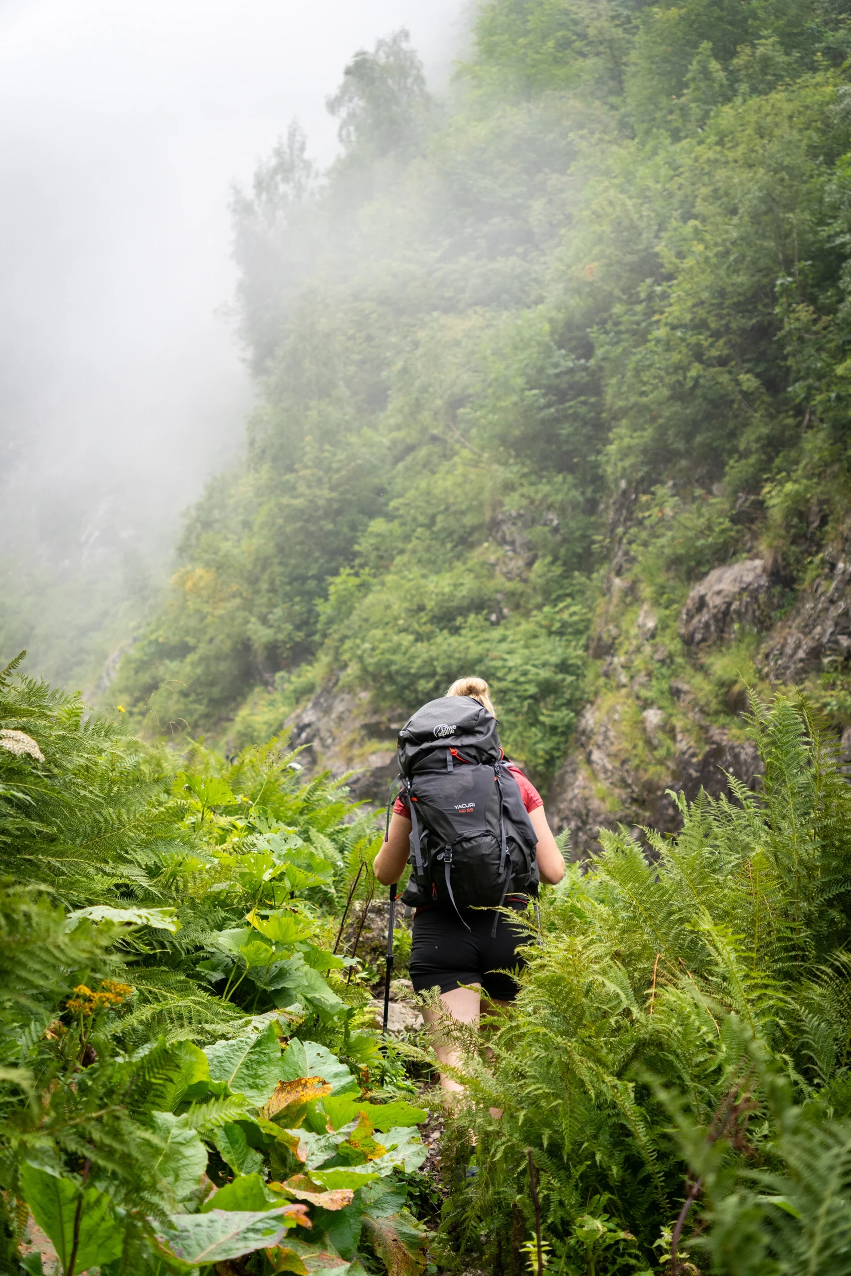 Wandelaar loopt door mistig bos op berghelling