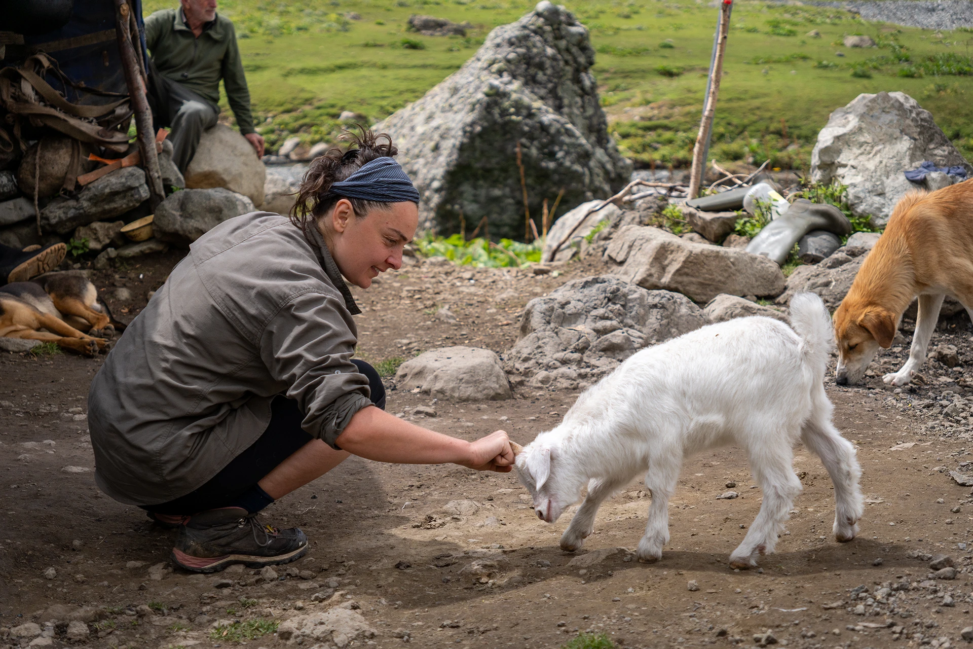 Man aait geit tussen rotsen
