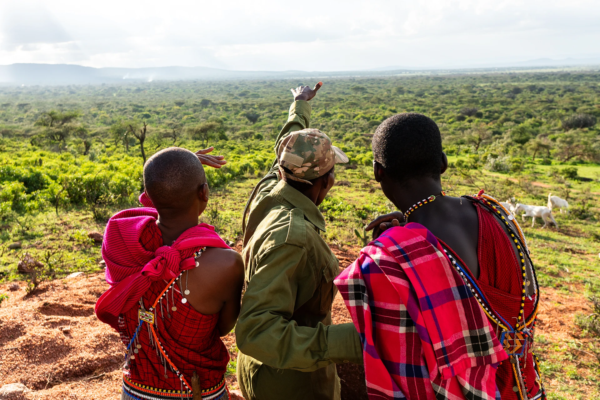 Jongeren die uitkijken over een uitgestrekte savanne
