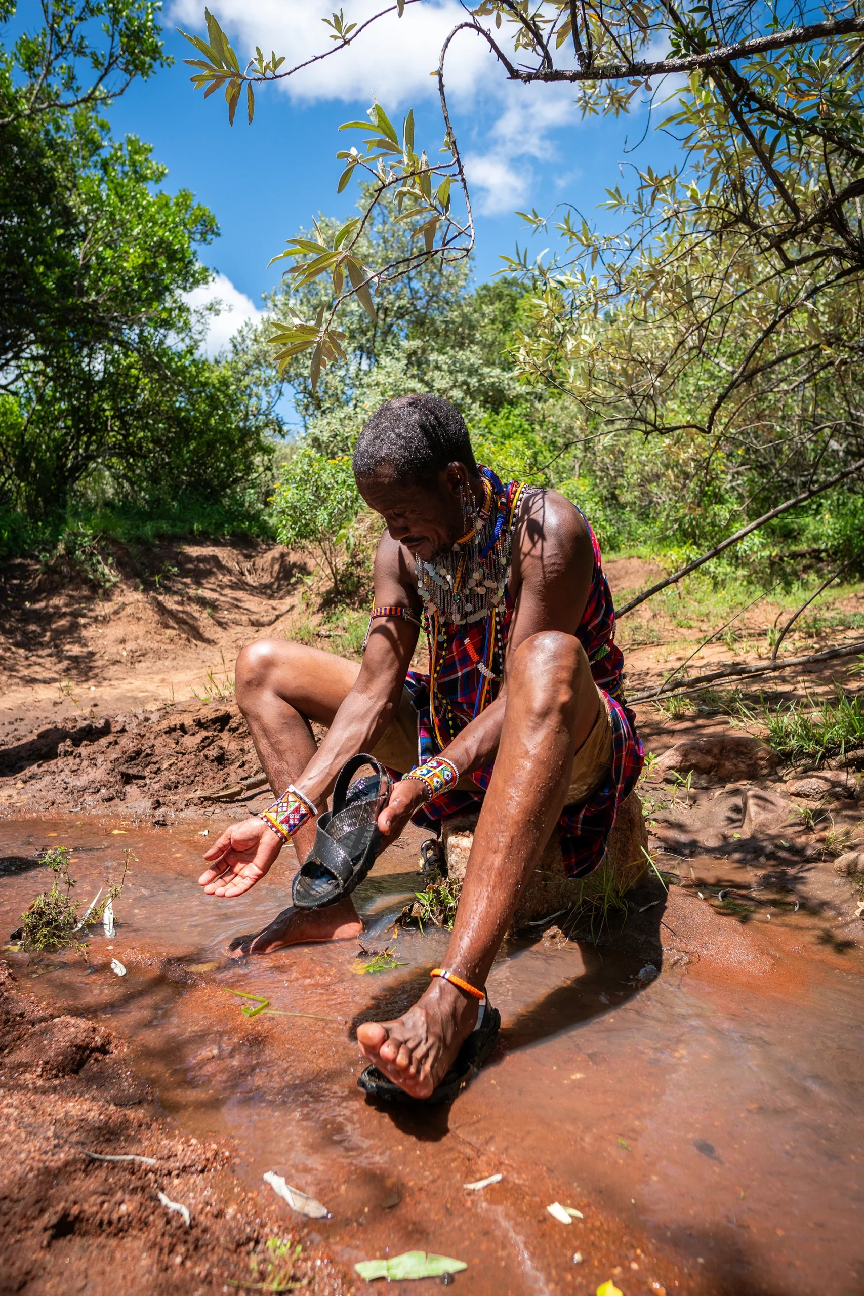 Persoon die handen wast in een beekje tussen bomen
