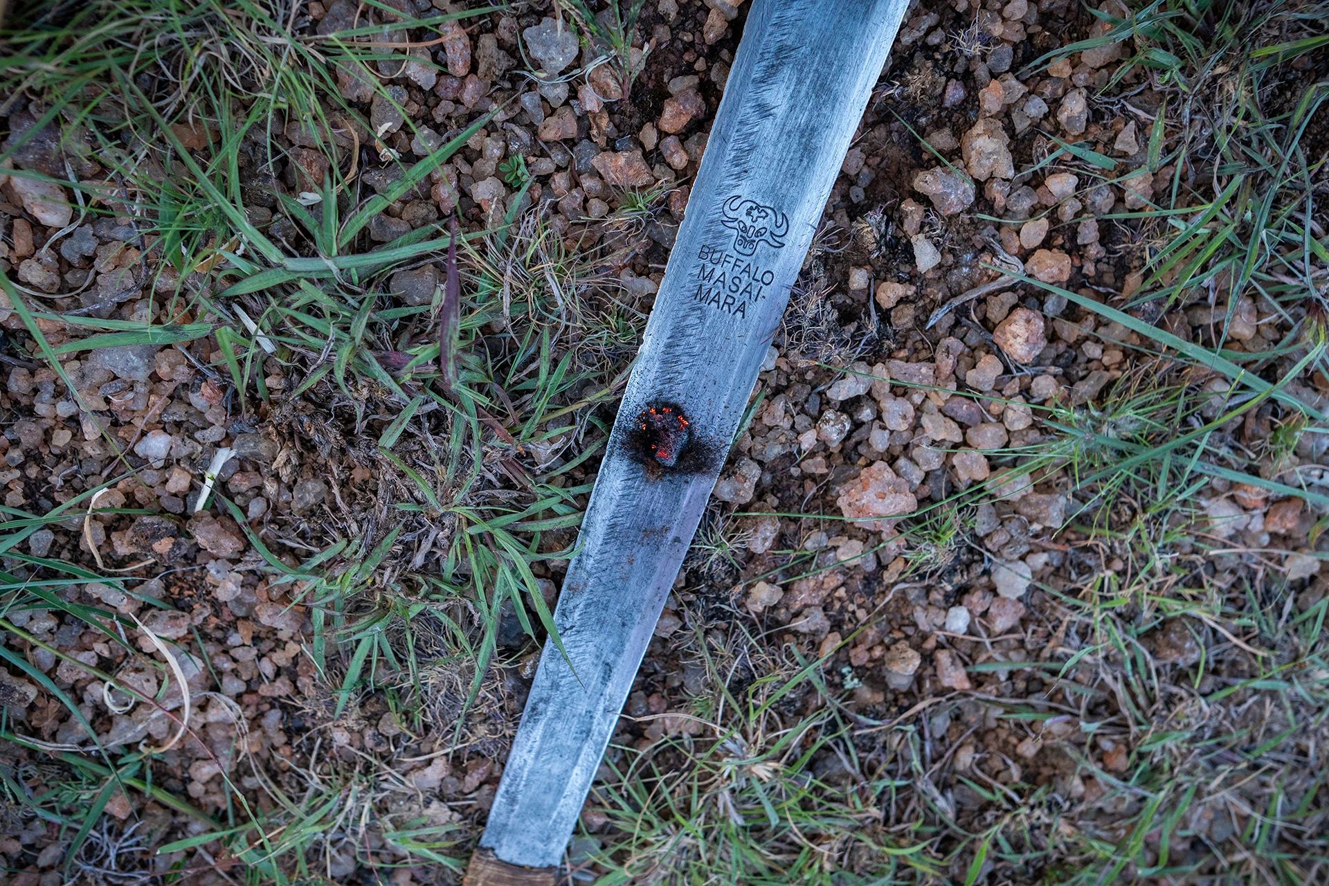 Close up van een metalen strip op de grond met een kever ernaast