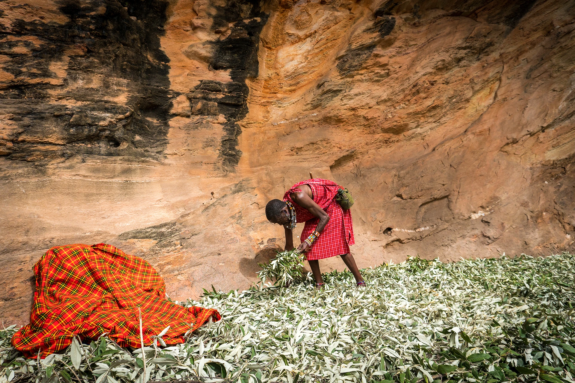 Vrouw verwerkt bladeren en kruiden tegen rotswand