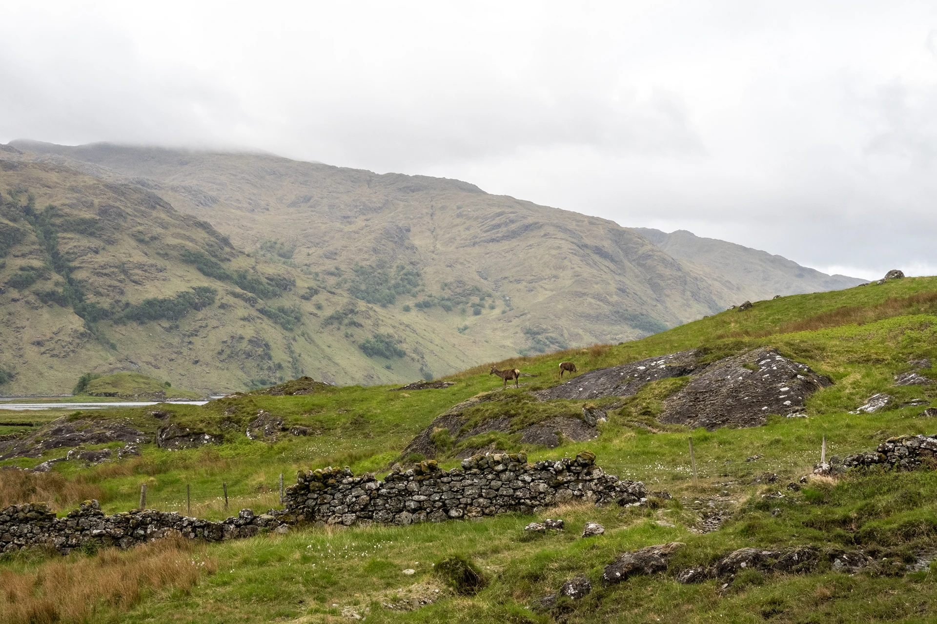 Wandelaars die door een ruïneachtig gebied in de bergen trekken