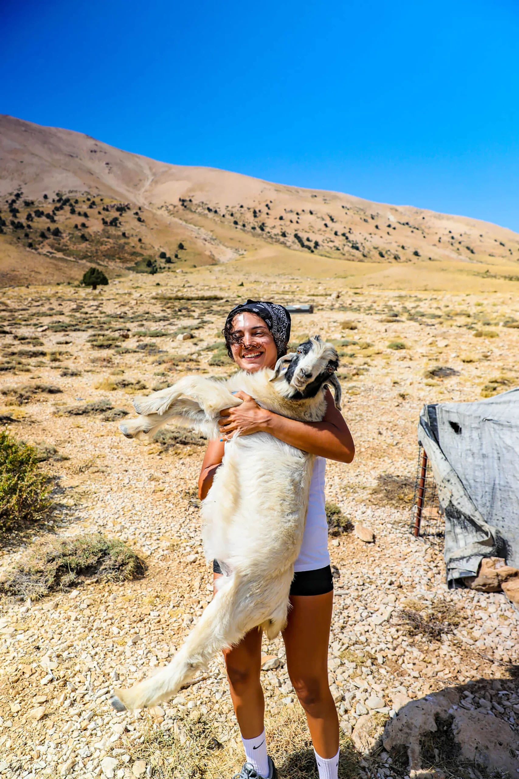 Man die een jonge geit draagt in een dor landschap