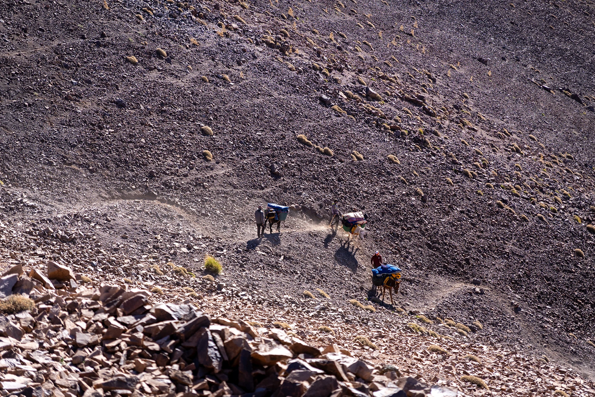 Hikers die een rotsachtige helling beklimmen in warm licht