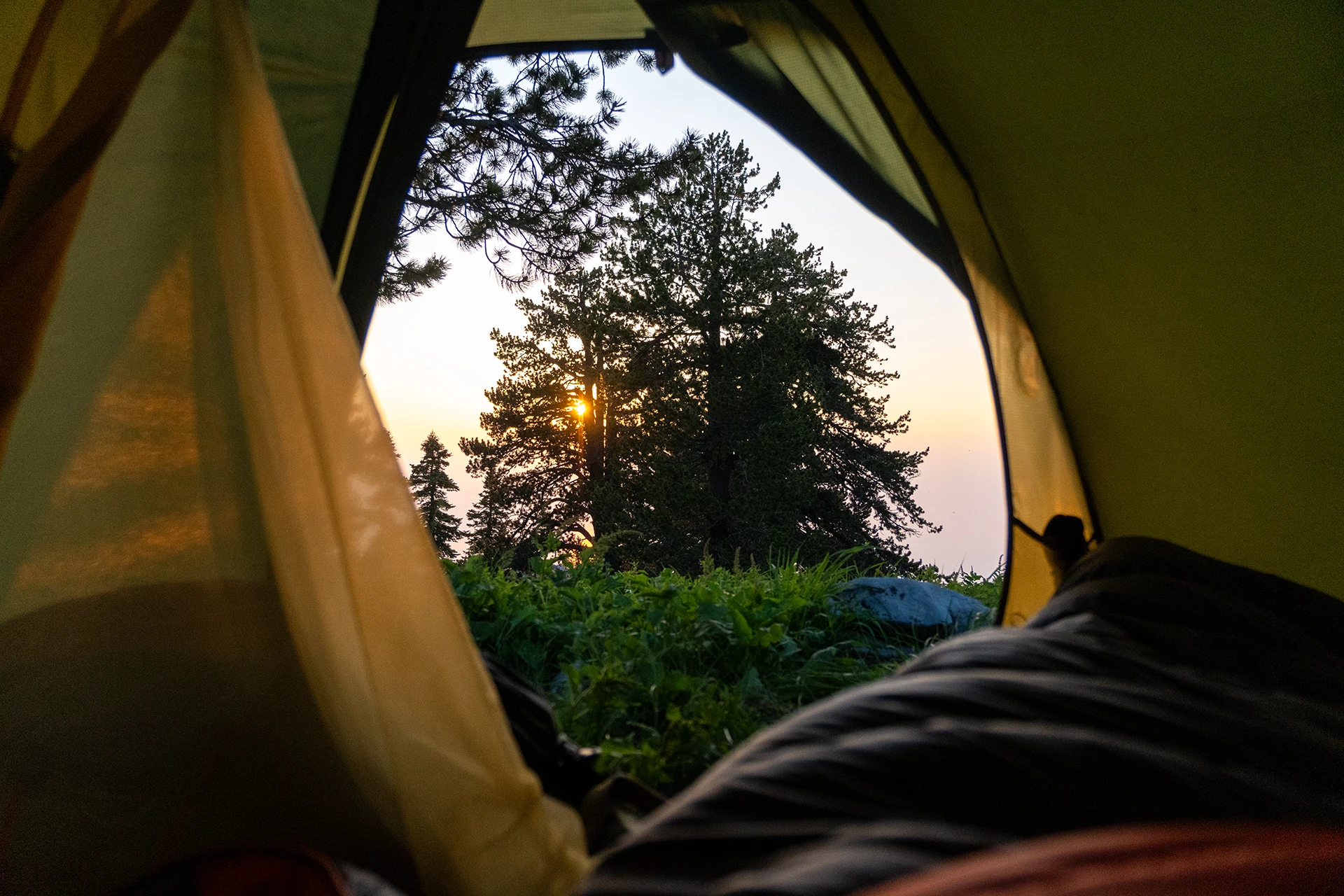 Uitzicht vanuit een tent op bomen en warm avondlicht