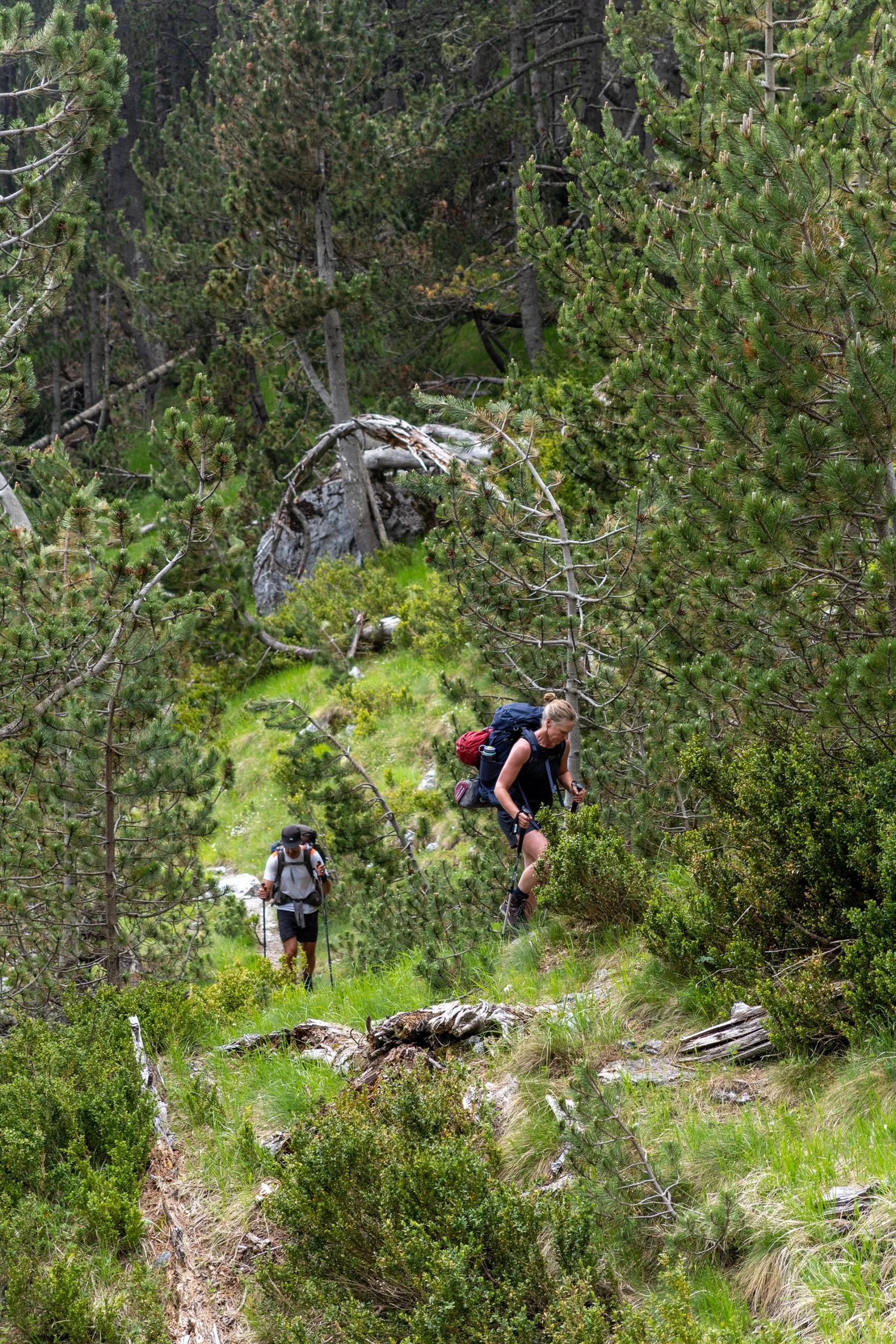 Hikers die een steil bosgebied beklimmen
