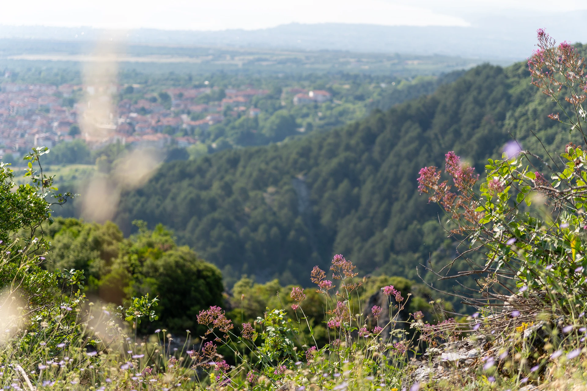 Uitzicht over een groen dal met dorpjes en bossen