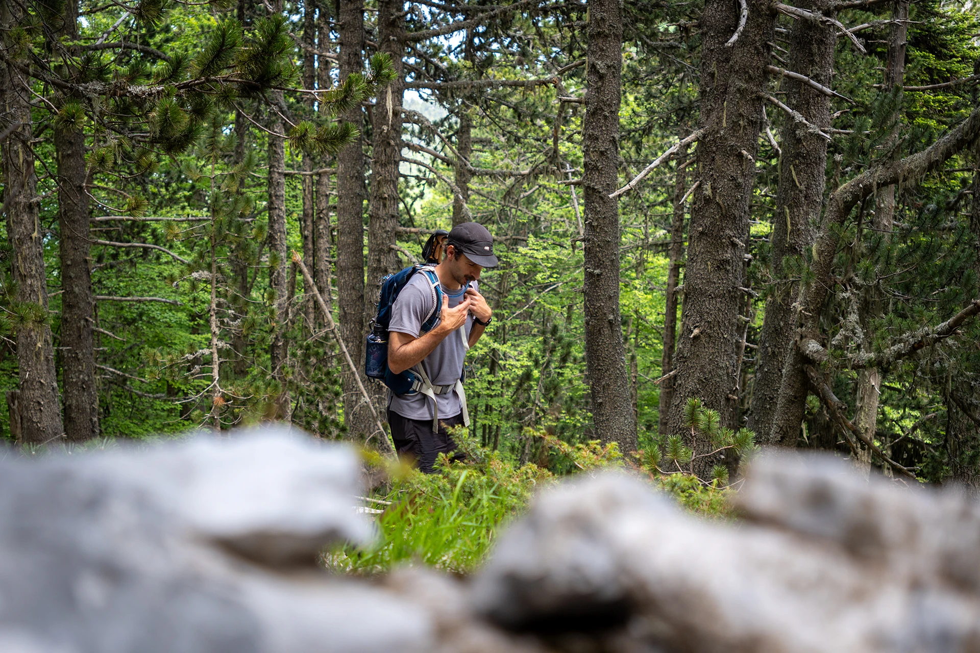 Wandelaar die door een dicht naaldbos loopt