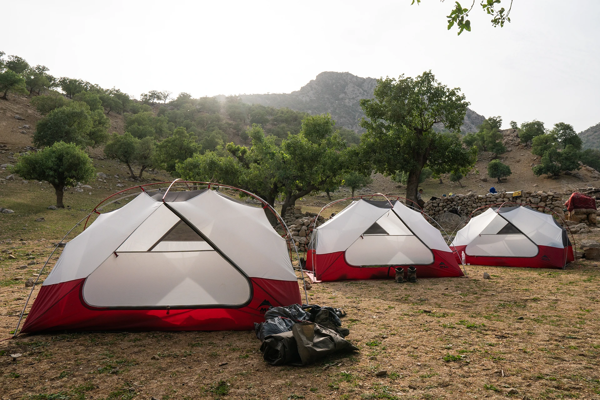 Rijtje tenten op een open grasvlakte met bomen erachter