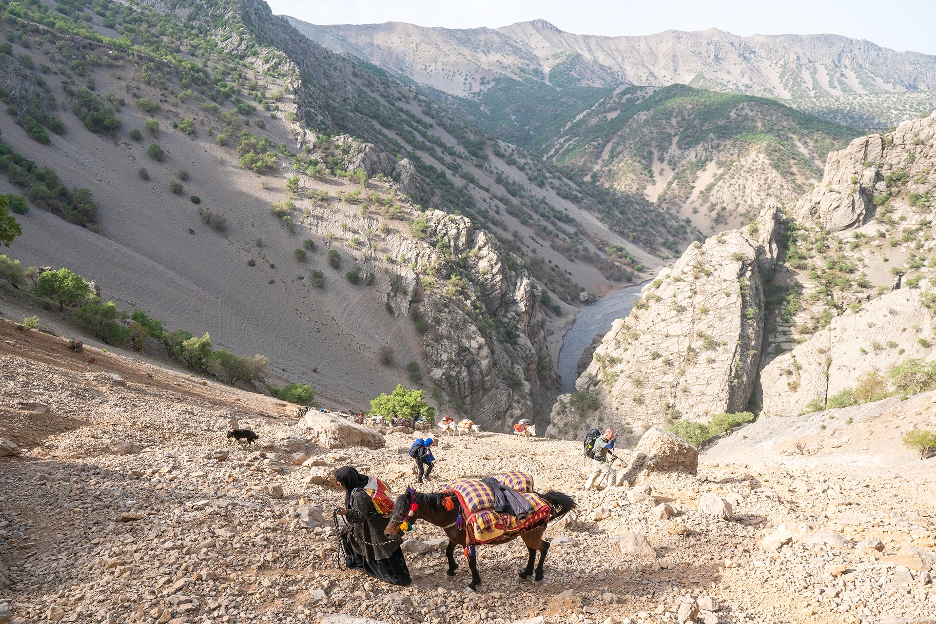 Wandelaars en dieren die langs een brede rivierbedding in een groene kloof lopen