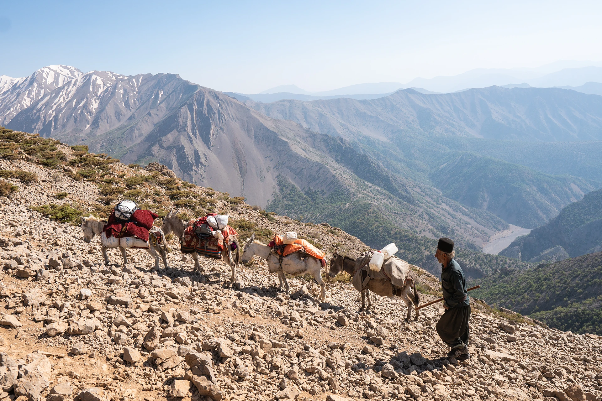 Lastdieren die vracht dragen over een rotsachtig bergpad