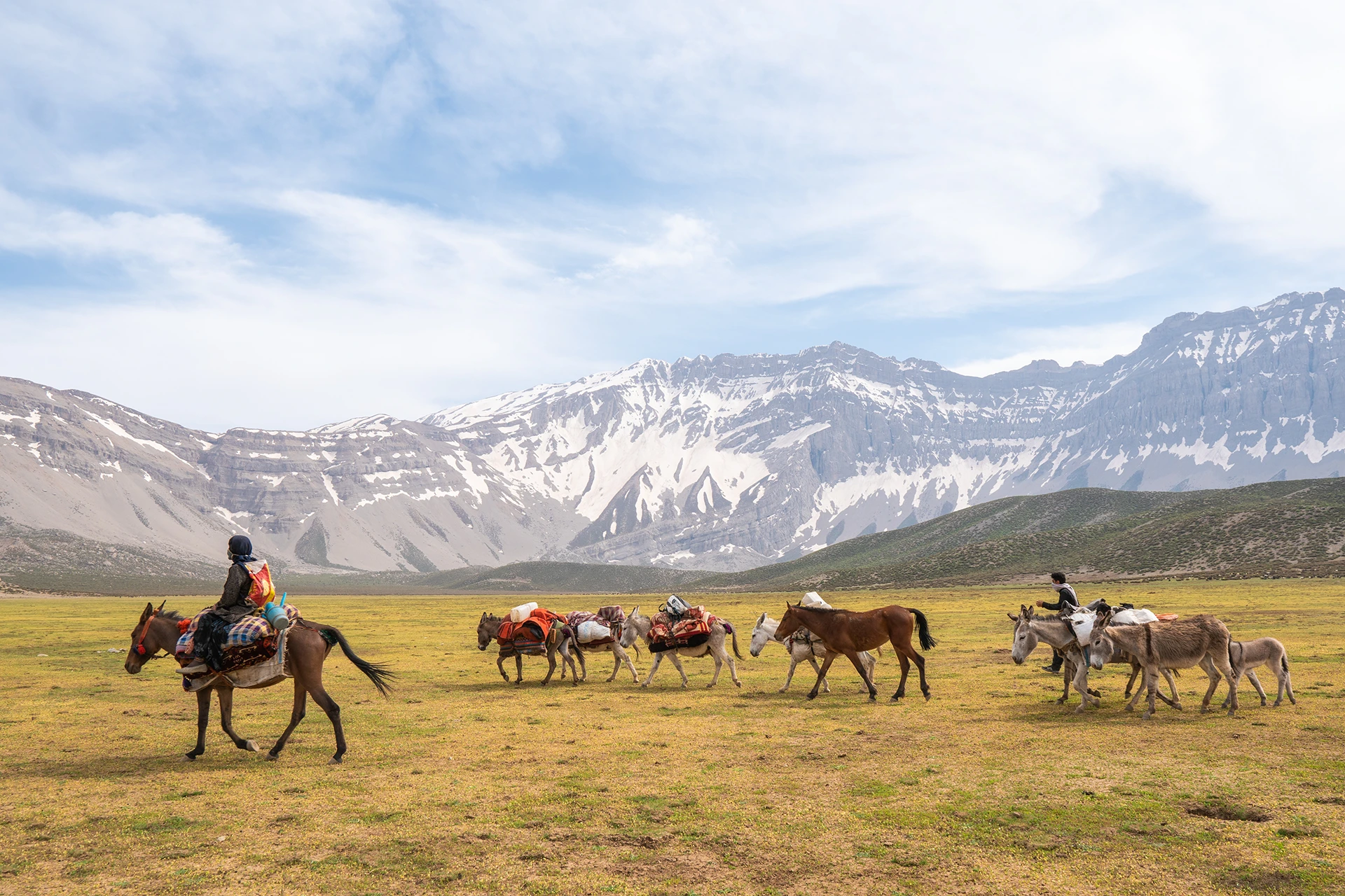 Ruiters die met paarden door een grasvlakte rijden met bergen achter hen