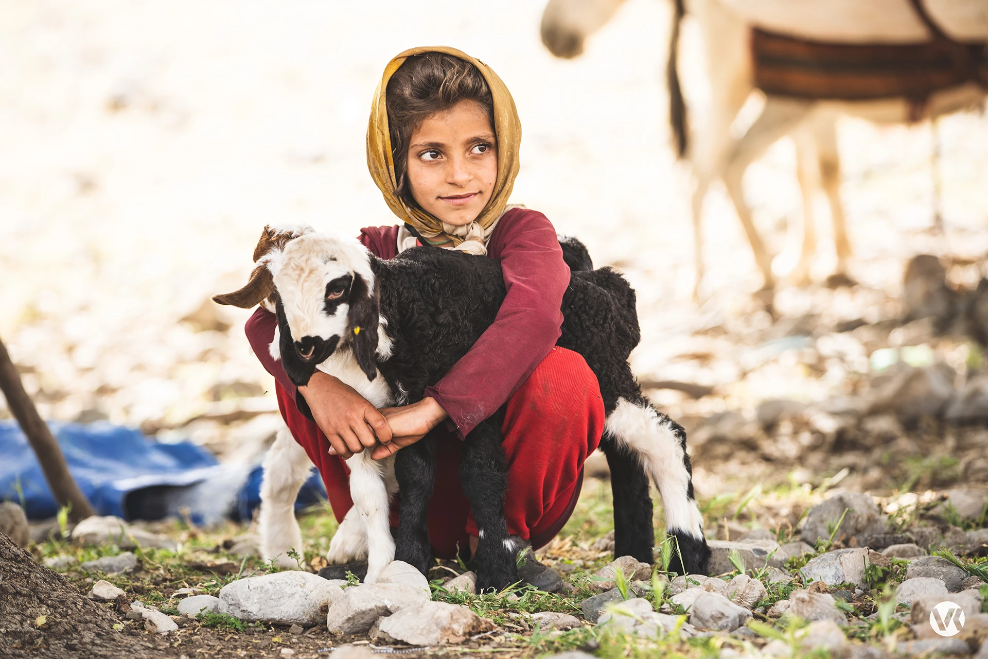 Kind dat een jong geitje vasthoudt in een berggebied