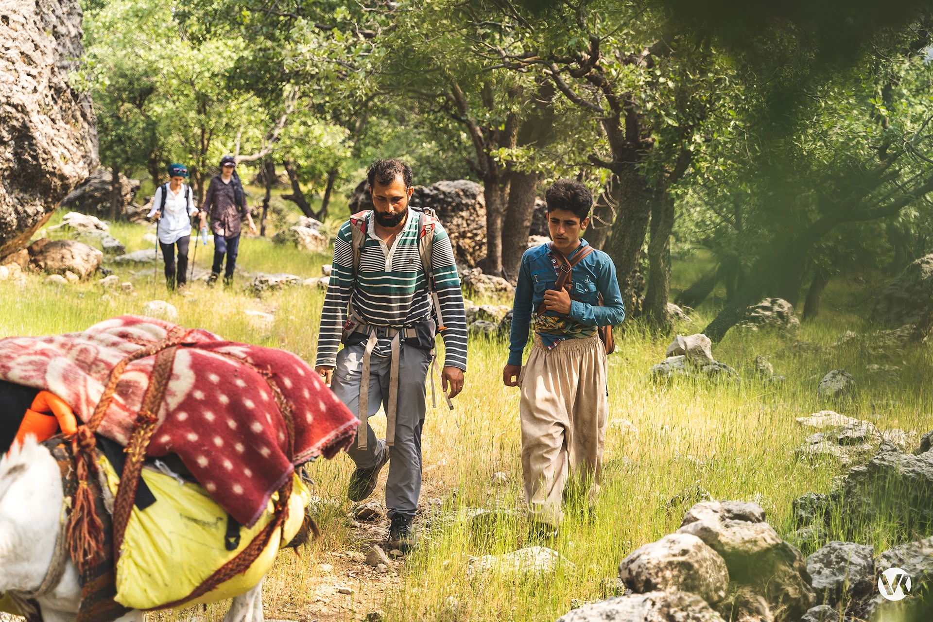 Groep wandelaars die door een groen bos pad loopt